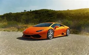 岁赵文瑄享,退休时光,养宠物兼锻,开云体育,开云体育官网,开云体育app,开云体育平台,KAIYUN,SPORTS,kaiyun登录入口