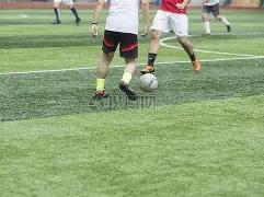 三人篮球上,海大师赛,热血对决,开云体育,开云体育官网,开云体育app,开云体育平台,KAIYUN,SPORTS,kaiyun登录入口