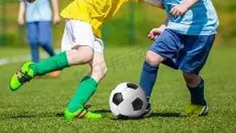 61岁赵文瑄享受“退休时光”：养宠物兼锻炼身心