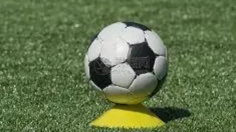 开云体育 产品 104247 d2i