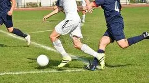 开云体育 资讯 124604 1pb