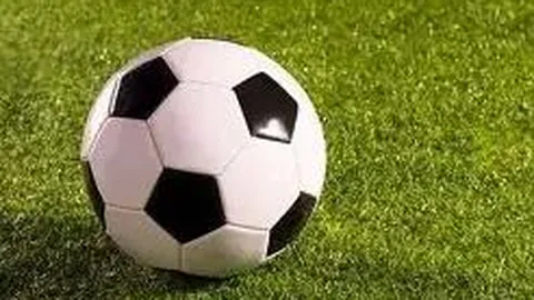 开云体育 产品 125540 mia