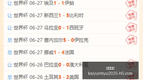 开云体育 112925 6